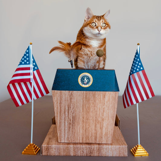 Cat Presidential Scratching Post